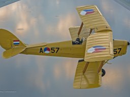 4H-11)  TIGER MOTH